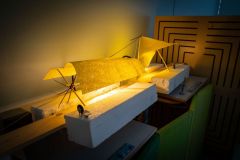 HeldagsskolenFaaborg-Midtfyn-30