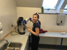 Mellemtrinet