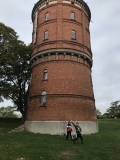 Mellemtrinet